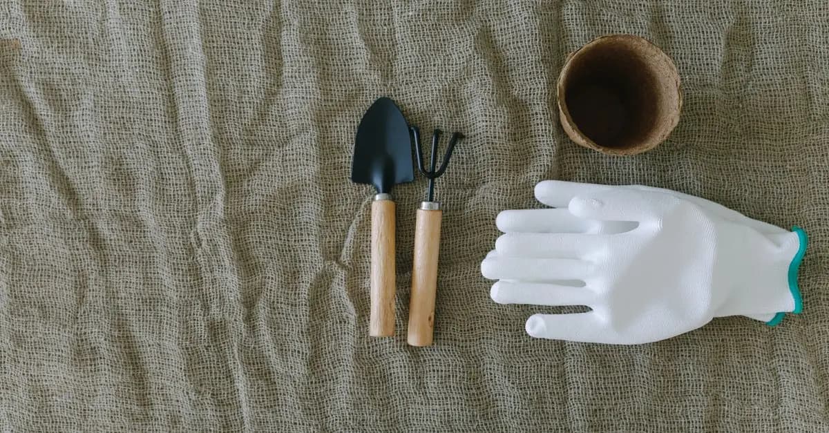 Best DIY Outdoor Tools for Gardening