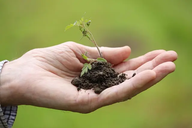 Essential Flower Gardening Tips for Every Gardener