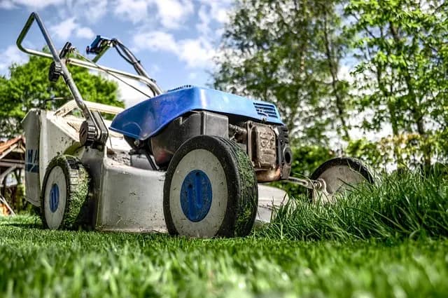 Best DIY Gardening Tools Guide